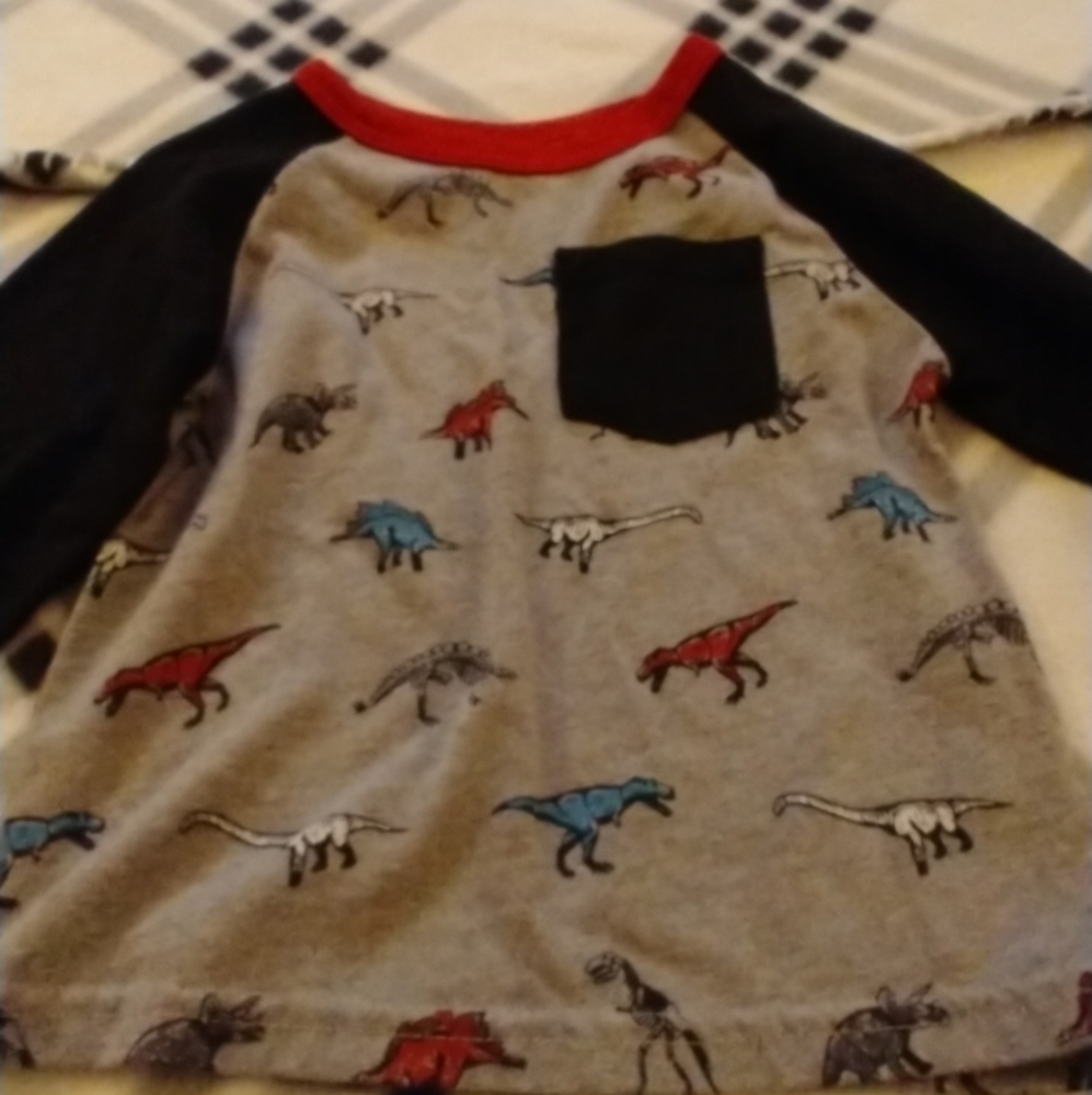 Boys 2T LS Lot